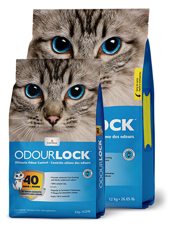 картинка Комкующийся наполнитель для кошачьего туалета Intersand Odourlock 6 кг от магазина Одежда+