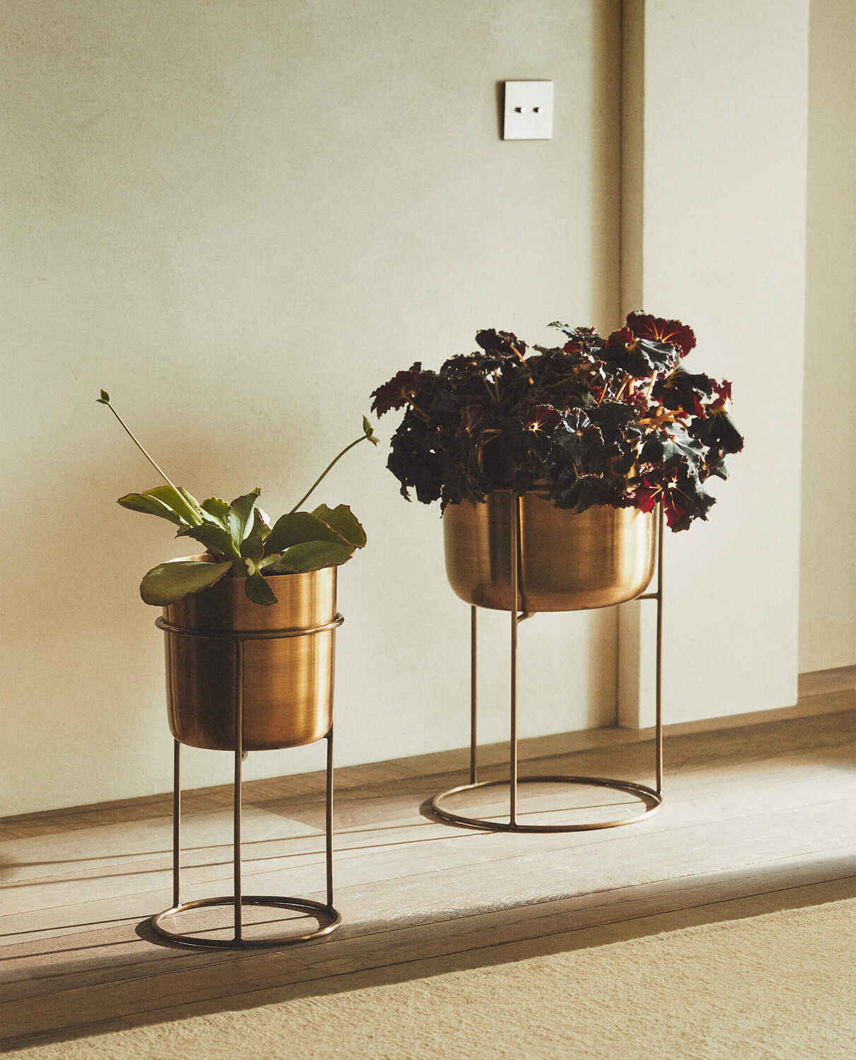 картинка Кашпо Zara Home Gold от магазина Одежда+