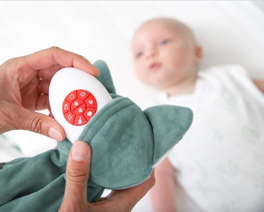 картинка Зазу Бекки, колибри, милый кролик Zazu Kids от магазина Одежда+