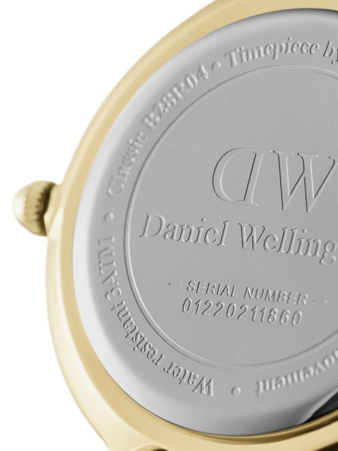 картинка Подарочный набор Petite Evergold 32 мм Daniel Wellington, белый от магазина Одежда+