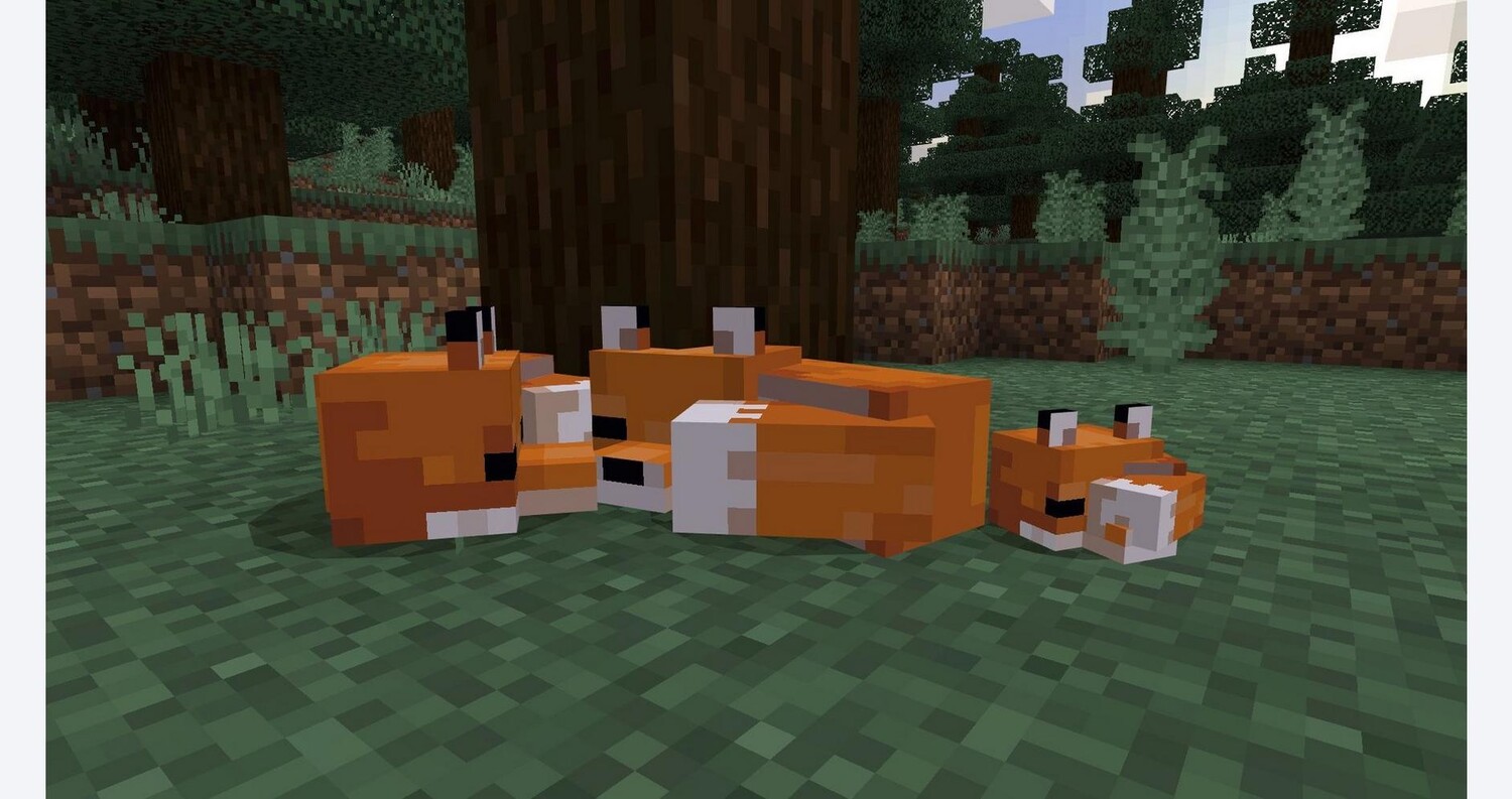 картинка Видеоигра Minecraft Starter Collection - PlayStation 4 от магазина Одежда+