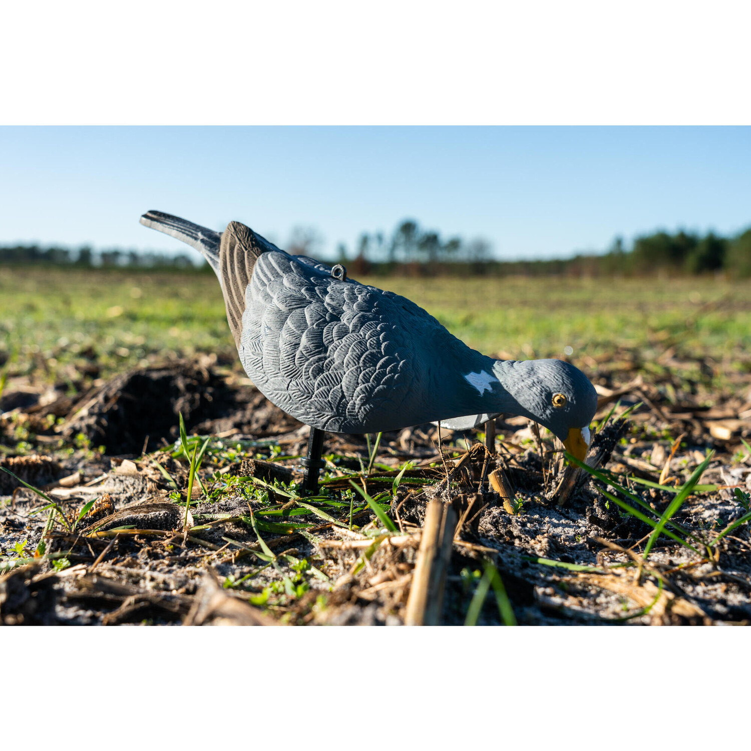 картинка Манок 3D RAVEN 100 SOLOGNAC от магазина Одежда+
