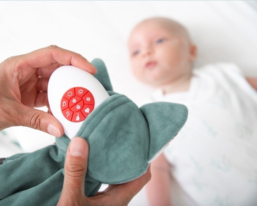картинка Зазу Бекки, колибри, милый кролик Zazu Kids от магазина Одежда+