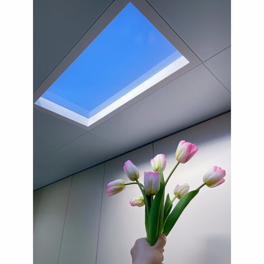 картинка Потолочный светильник Xiaomi Yeelight Smart Blue Sky Panel A10 от магазина Одежда+