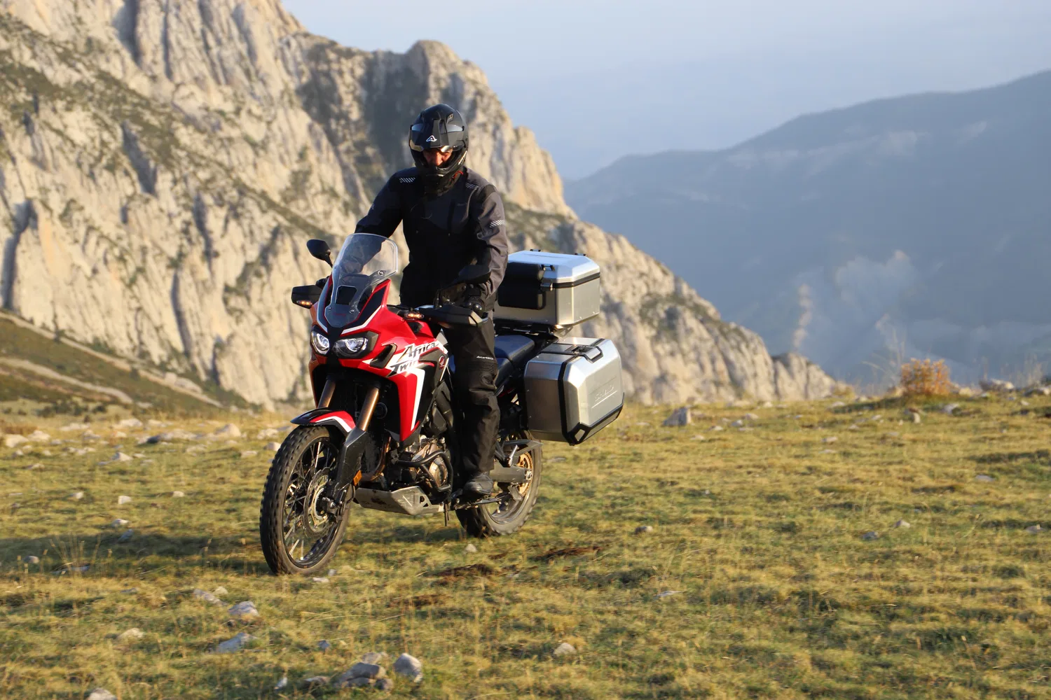 картинка Спинка для топкейса SHAD Terra TR37/TR48/TR55 от магазина Одежда+