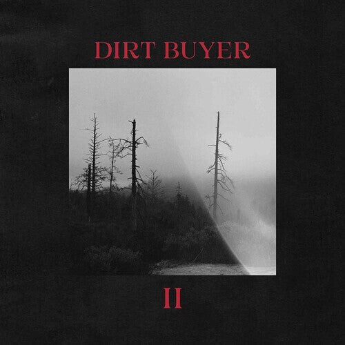 картинка Аудиокассета Dirt Buyer: Dirt Buyer Ii от магазина Одежда+