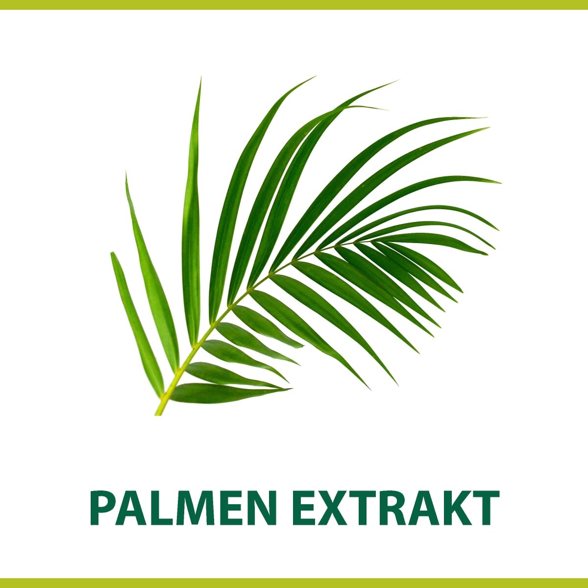 картинка Пена для бритья Классик 300мл Palmolive от магазина Одежда+