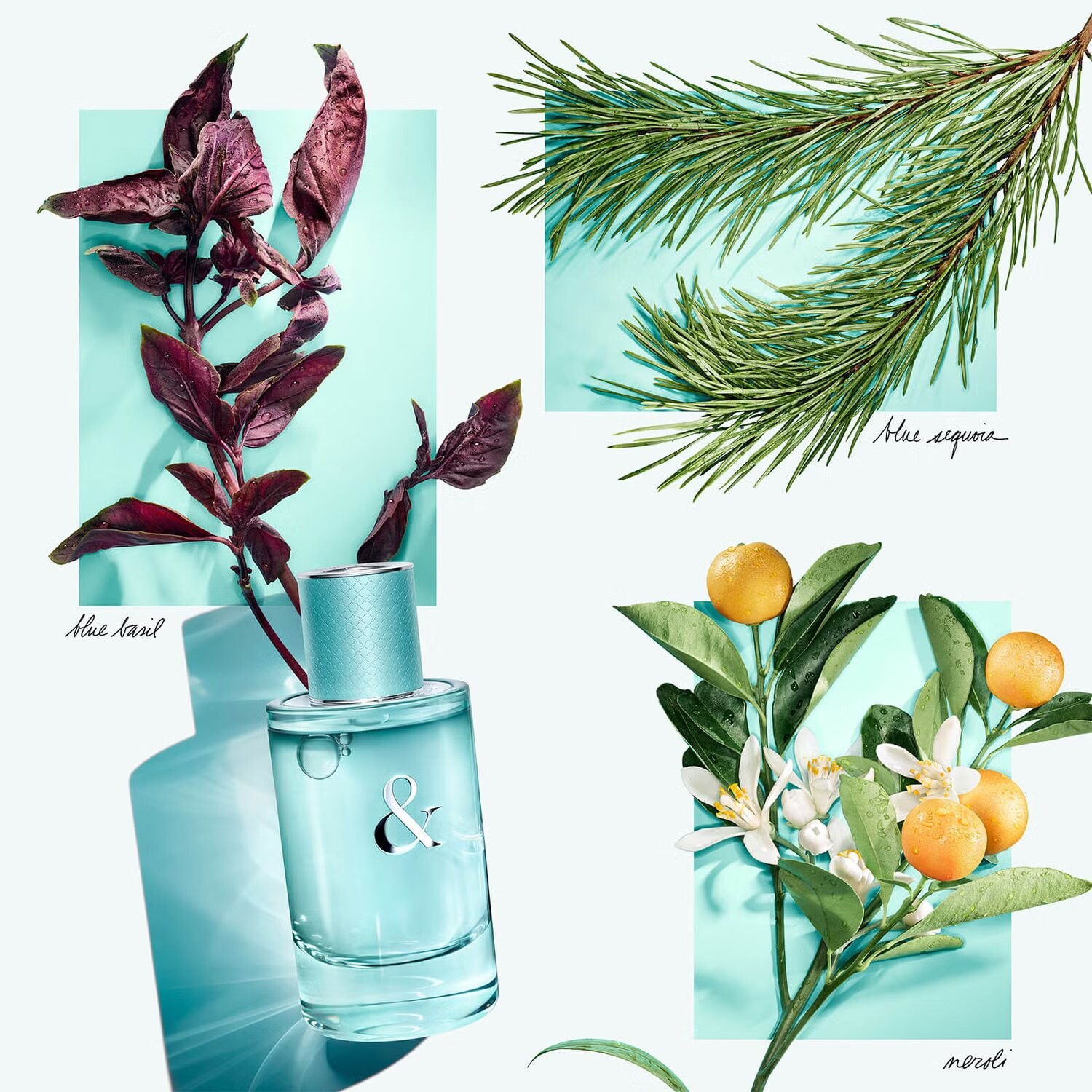 картинка Tiffany & Love for Her: Парфюмерная вода от магазина Одежда+