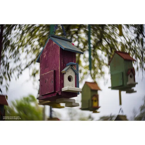 картинка Оптика Lensbaby Twist 60 от магазина Одежда+