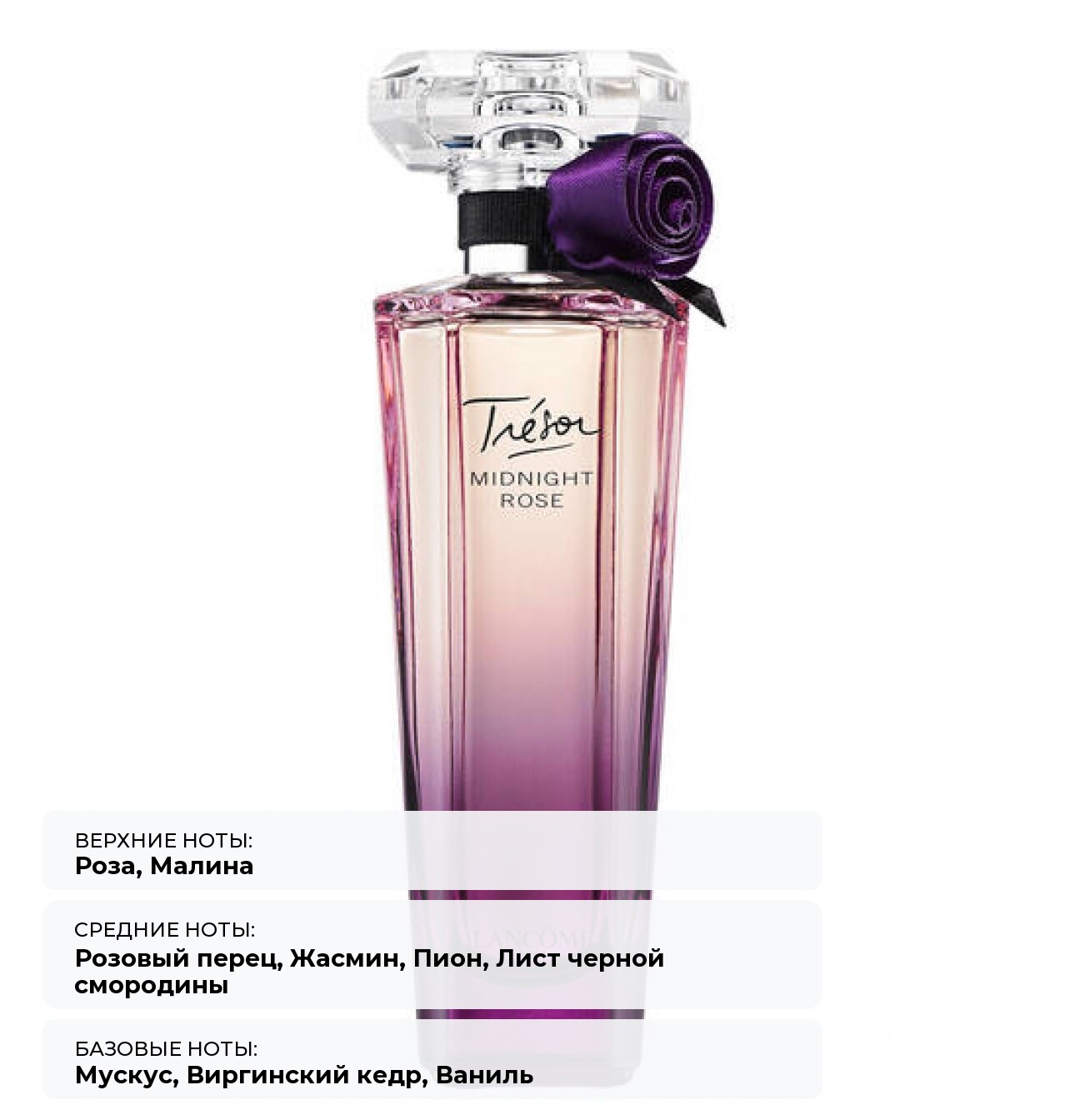 картинка Lancome Tresor Midnight Rose: Парфюмерная вода для женщин от магазина Одежда+