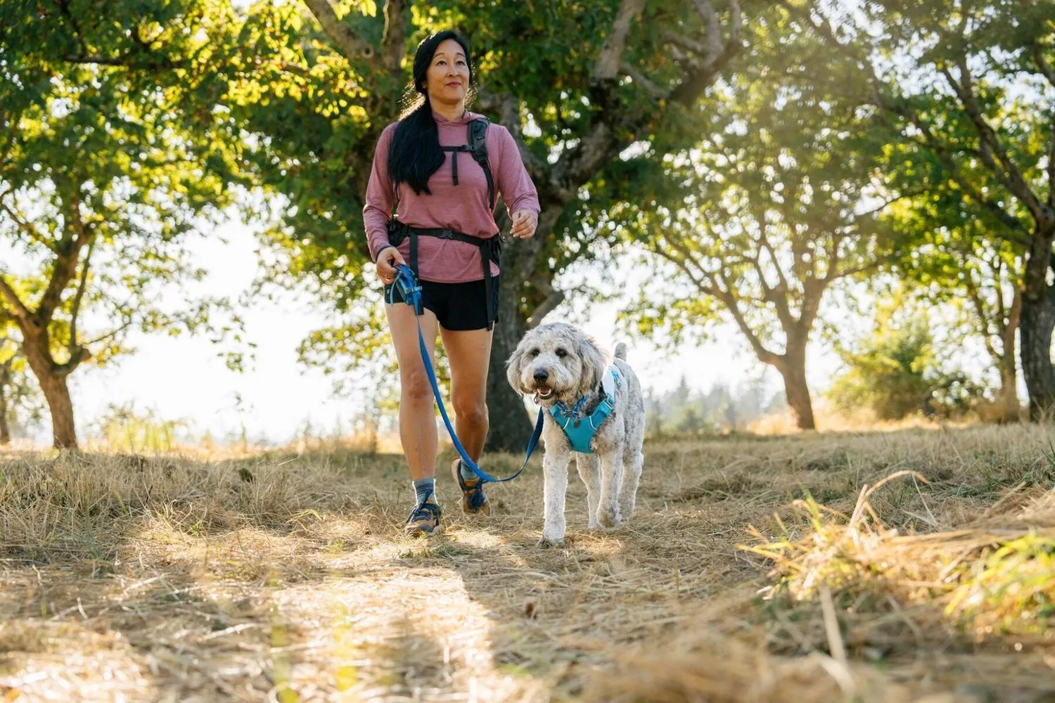 картинка Мини-сумка для мелочей Ruffwear, Basalt Grey от магазина Одежда+