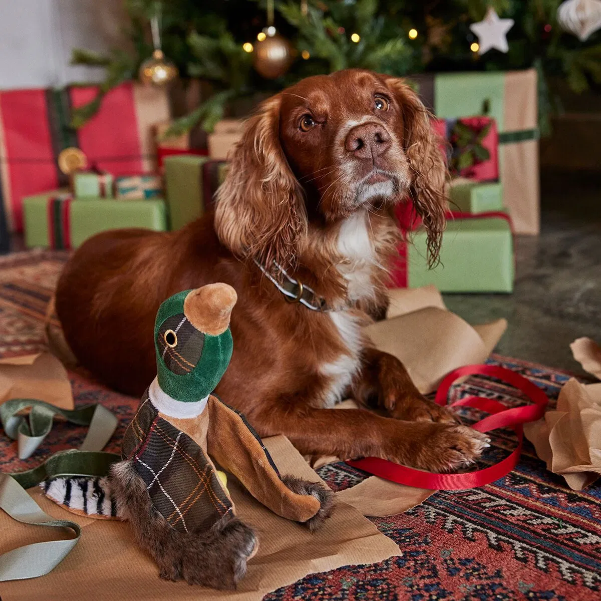 картинка Игрушка для собак Pheasant Dog Toy Barbour, Classic Tartan от магазина Одежда+