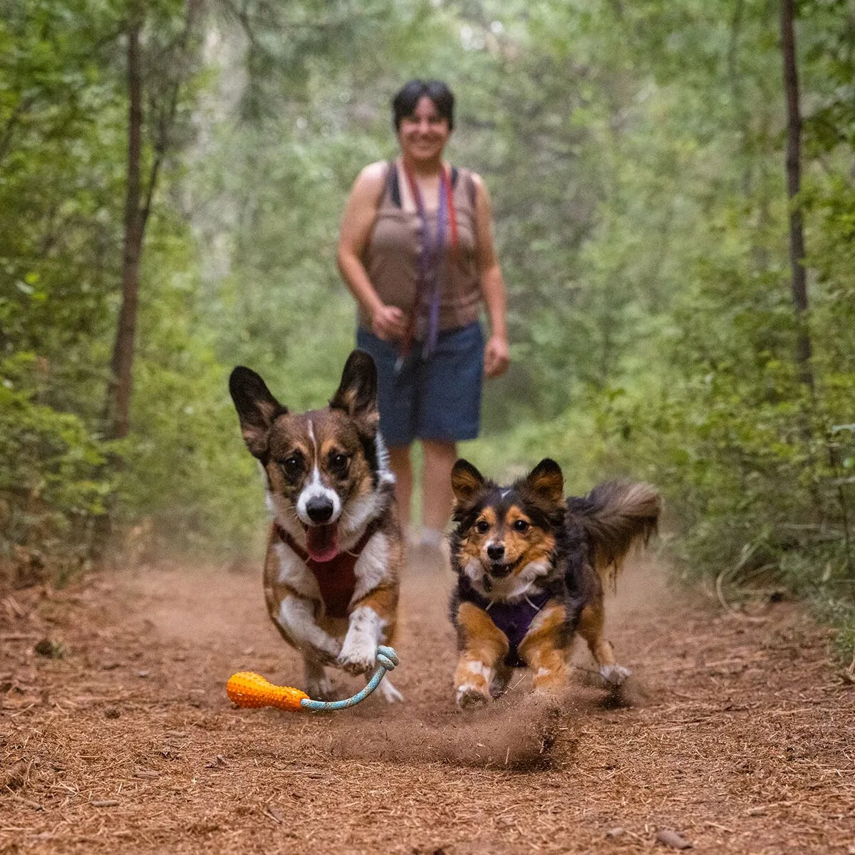 картинка Игрушка для собак Gourdo Ruffwear, Campfire Orange от магазина Одежда+