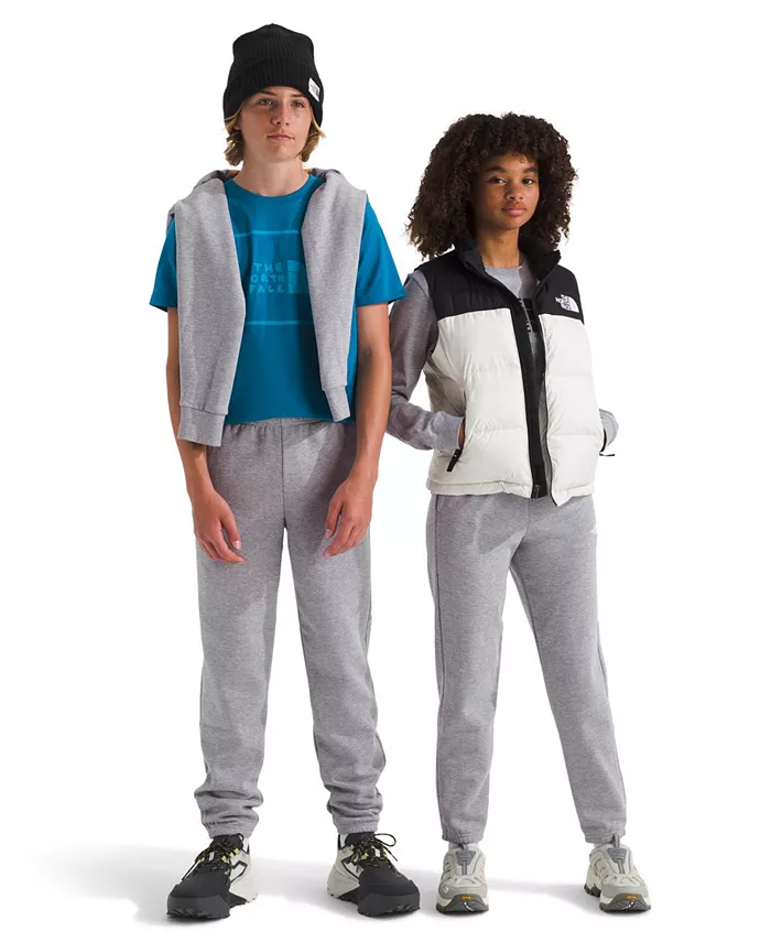 картинка Брюки Big Boys Teen Evolution The North Face, серый от магазина Одежда+