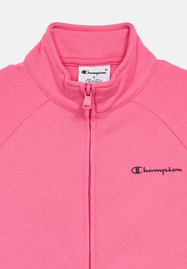 картинка Комплект для школы - спортивные штаны Champion, розовый от магазина Одежда+