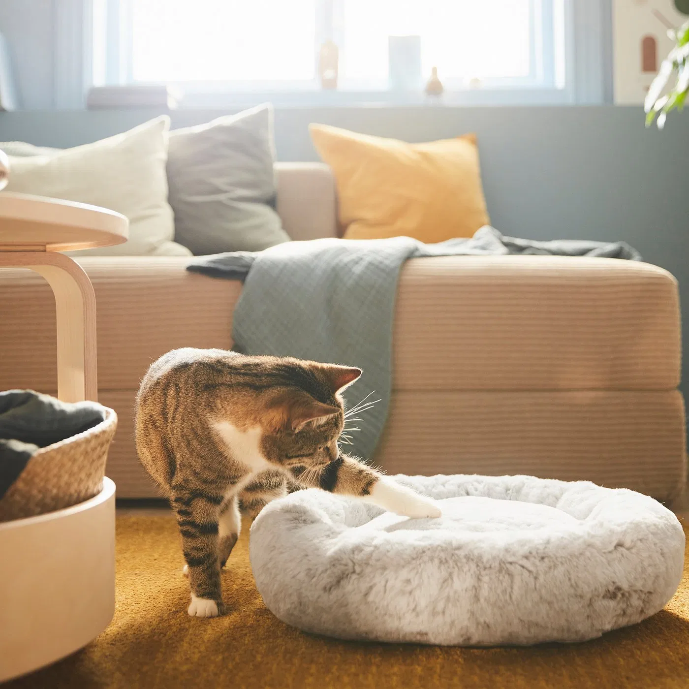 картинка UTSÅDD IKEA Лежанка для животных, светло-серая, размер S от магазина Одежда+