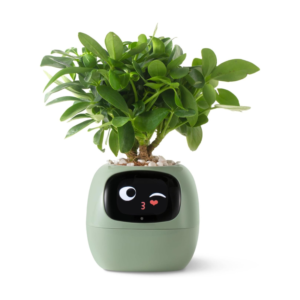 картинка Умный горшок для домашних растений PlantsIO IVY, зеленый от магазина Одежда+