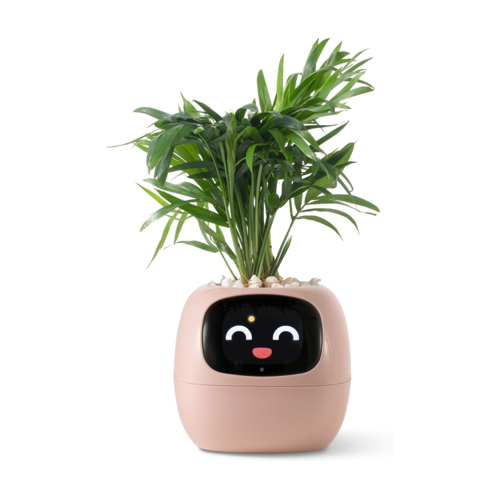 картинка Умный горшок для домашних растений PlantsIO IVY, розовый от магазина Одежда+