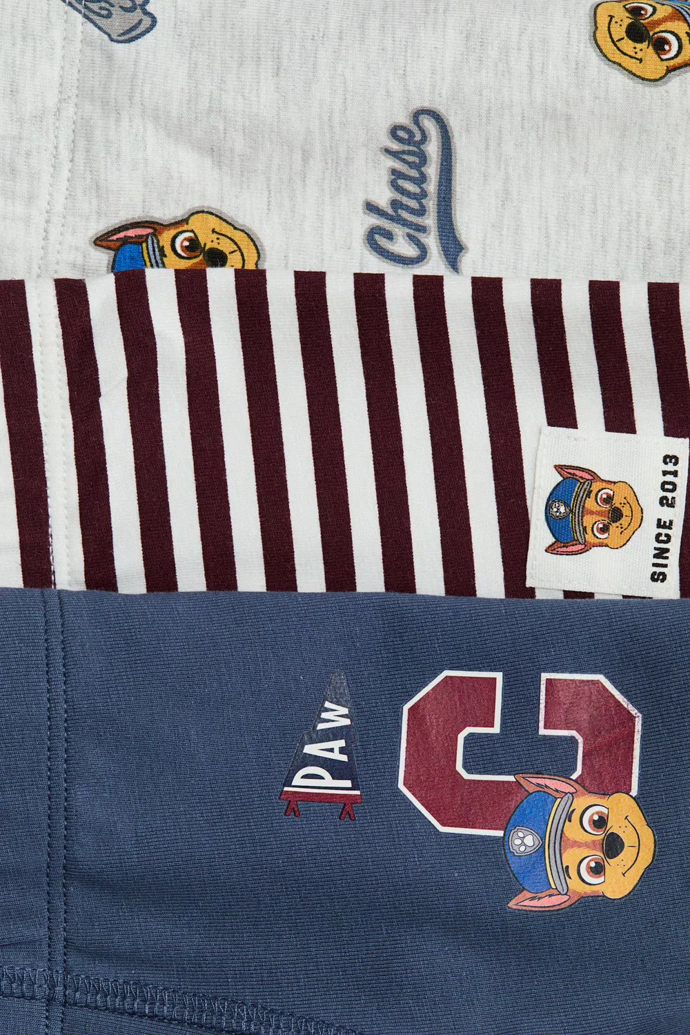 картинка 5 хлопковых трусов в упаковке H&M, Mattblau/Paw Patrol от магазина Одежда+