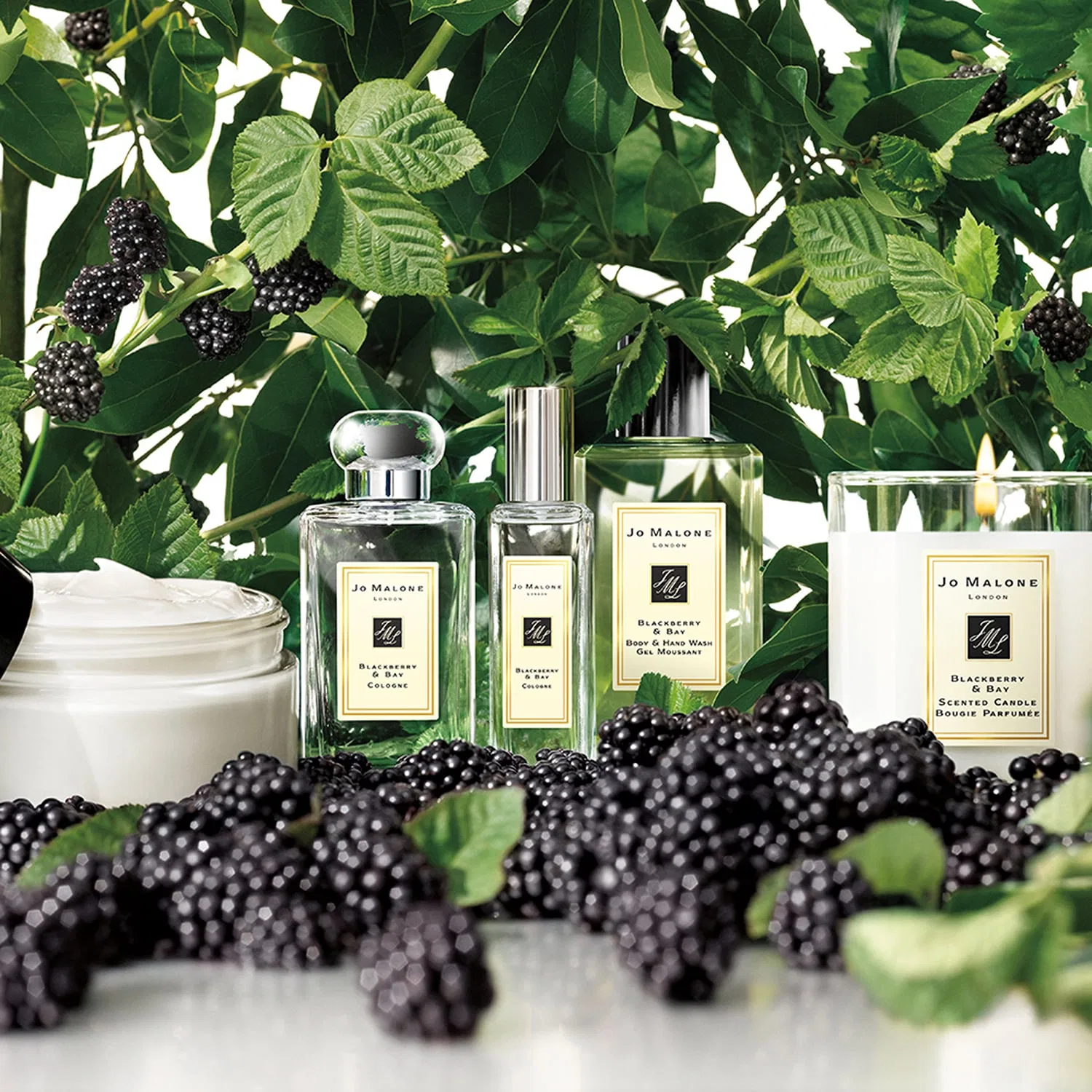 картинка Одеколон Blackberry & Bay 30 мл JO MALONE LONDON от магазина Одежда+