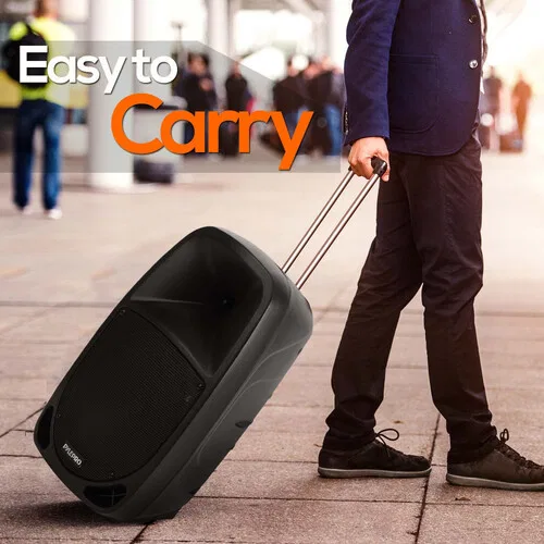 картинка Портативная двухполосная акустическая система Pyle Pro PSBT105A с микрофоном от магазина Одежда+