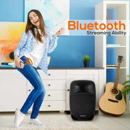 картинка Портативная двухполосная акустическая система Pyle Pro PSBT105A с микрофоном от магазина Одежда+