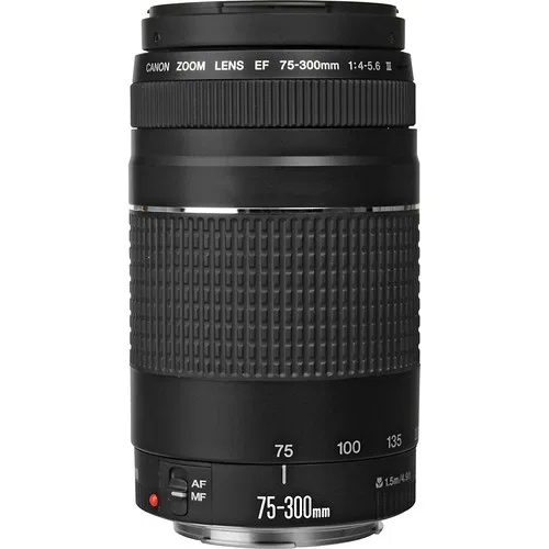 картинка Объектив Canon EF 75-300mm f/4-5.6 III от магазина Одежда+
