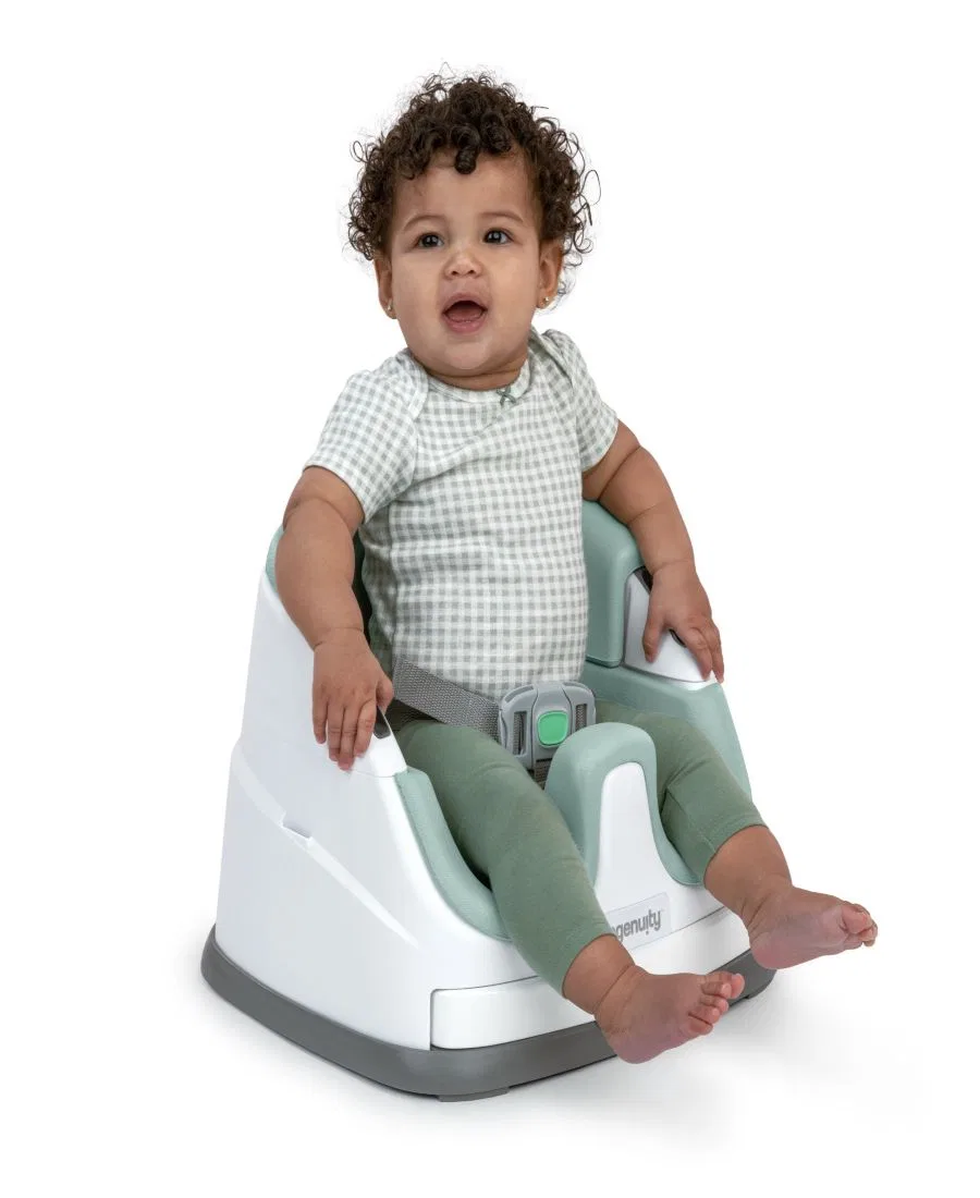 картинка Автокресло-бустер Baby Base 2-в-1 Ingenuity от магазина Одежда+