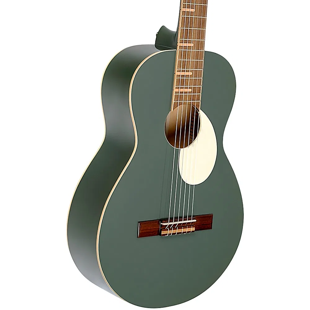 картинка Ortega Gaucho Parlor Classical Guitar Platinum от магазина Одежда+