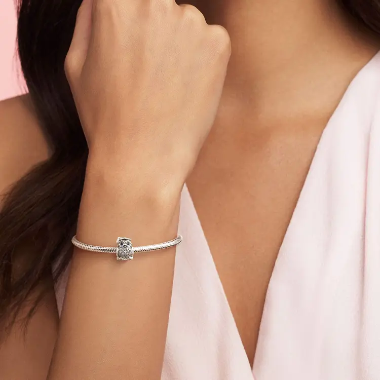 картинка Pandora Jewelry Accessories Women's Silver от магазина Одежда+