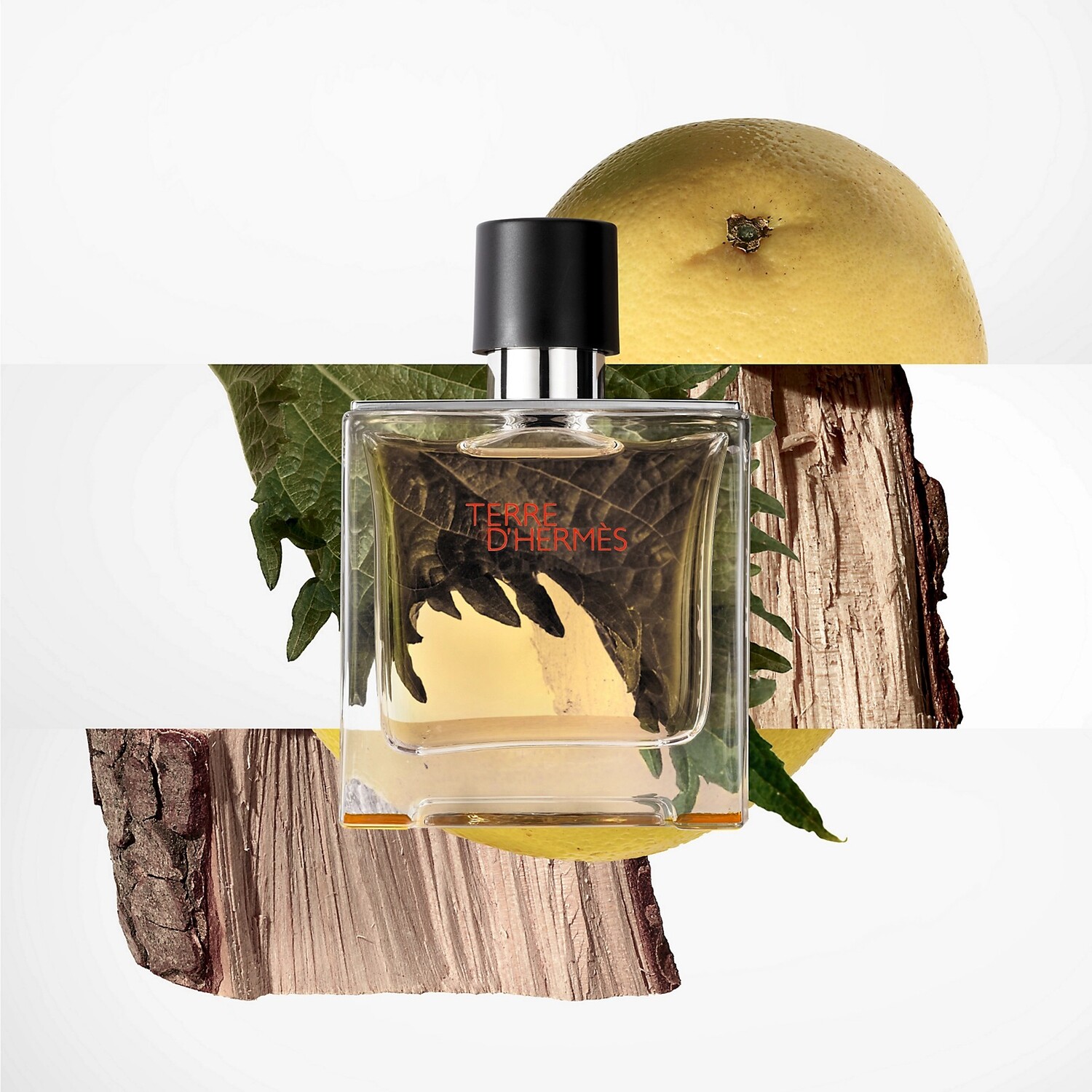 картинка Hermes Terre d'Hermes от магазина Одежда+
