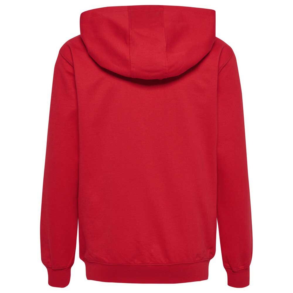 картинка Толстовка Hummel Go 2.0 Full Zip, красный от магазина Одежда+