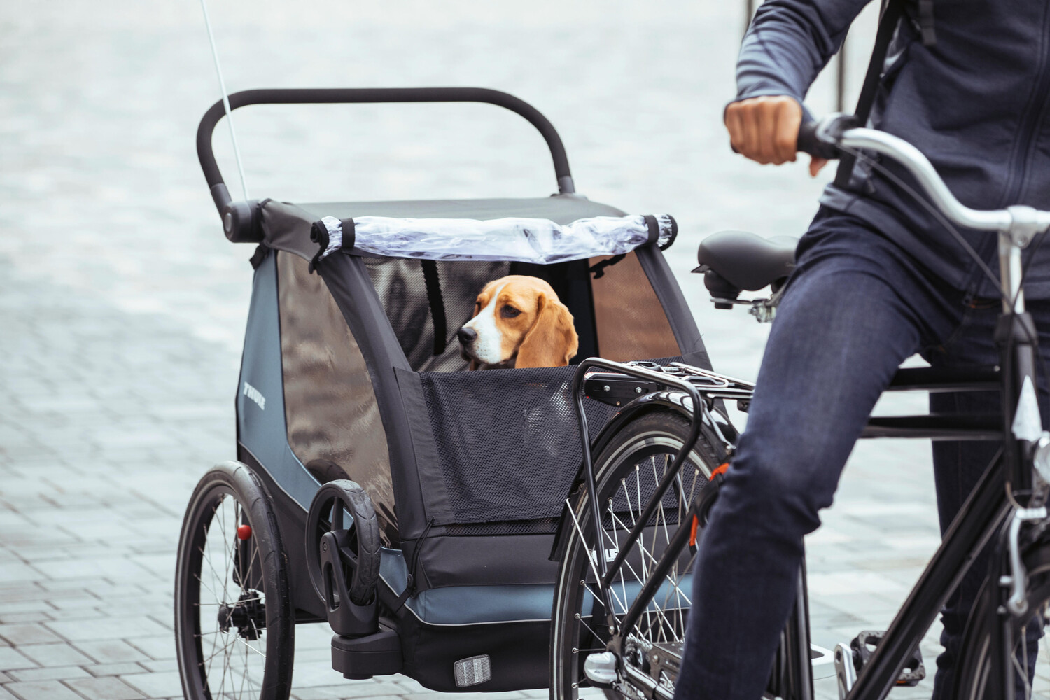 картинка Dog kit курьер Thule от магазина Одежда+