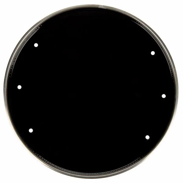 картинка Бас-барабанная пластика 22", DW, black от магазина Одежда+
