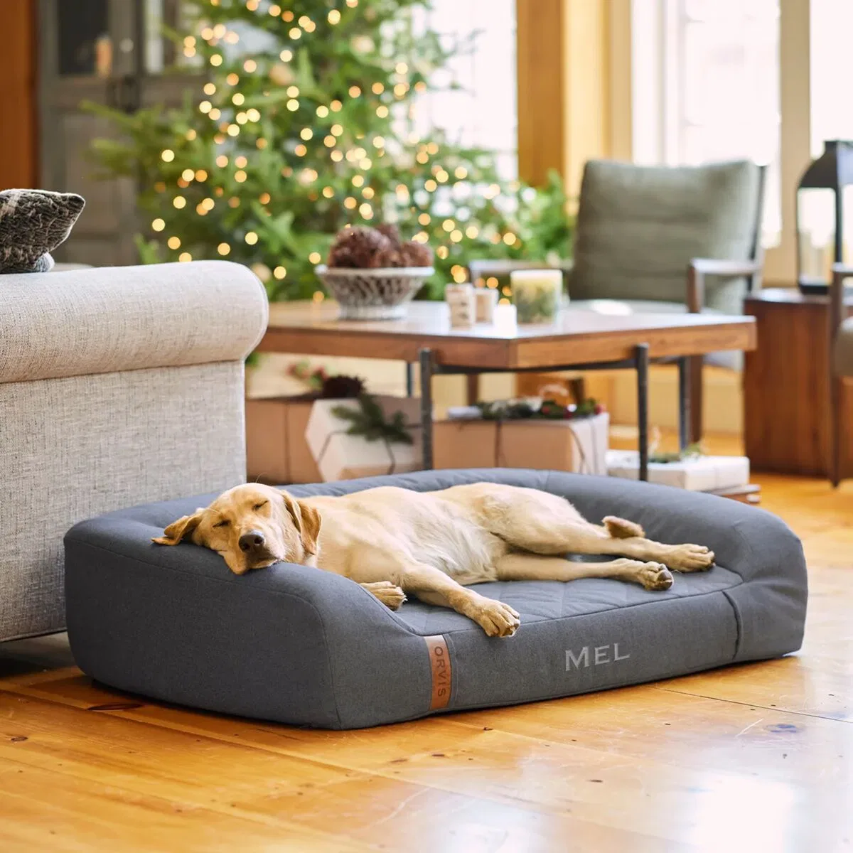 картинка Лежанка для собак Recoveryzone Couch Dog Bed Orvis, Slate от магазина Одежда+