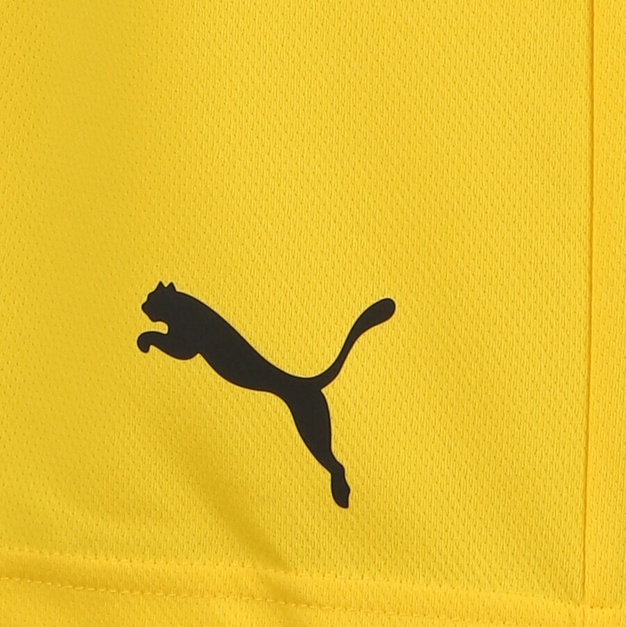 картинка Тренировочные брюки Puma TEAMRISE, желтый от магазина Одежда+