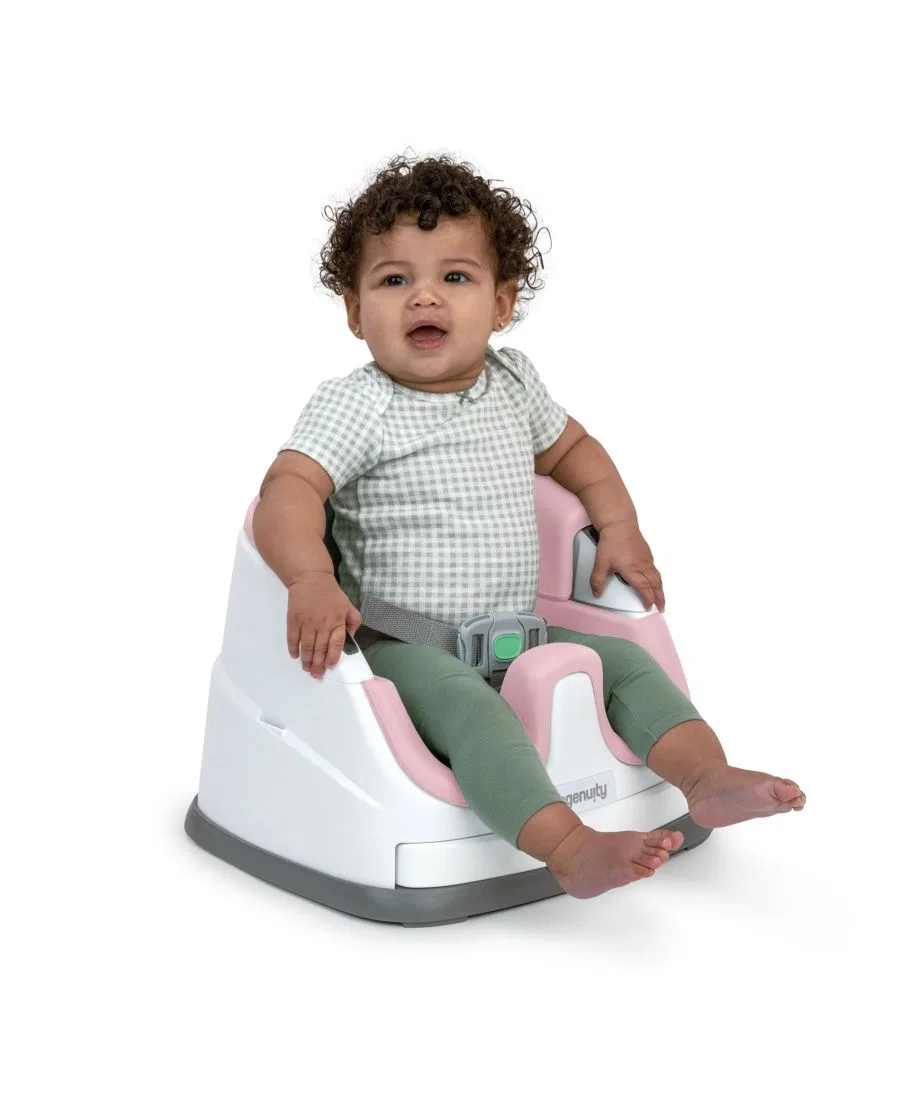 картинка Автокресло-бустер Baby Base 2-в-1 Ingenuity от магазина Одежда+