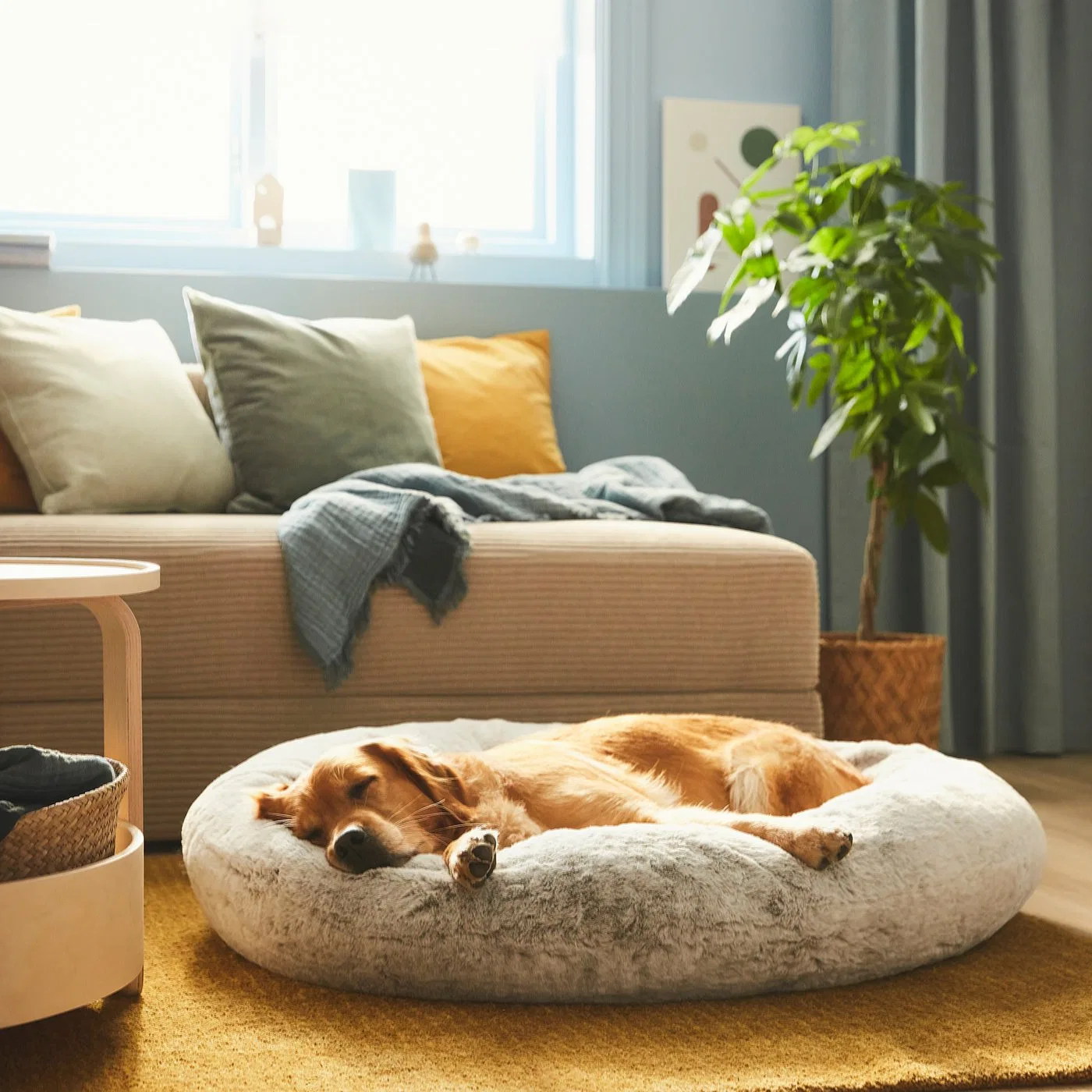картинка UTSÅDD IKEA Лежанка для животных, светло-серая, размер L от магазина Одежда+