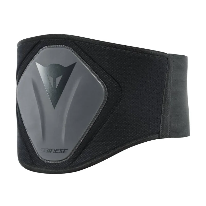 картинка Пояс Dainese Lumbar Belt High для поясницы черный от магазина Одежда+