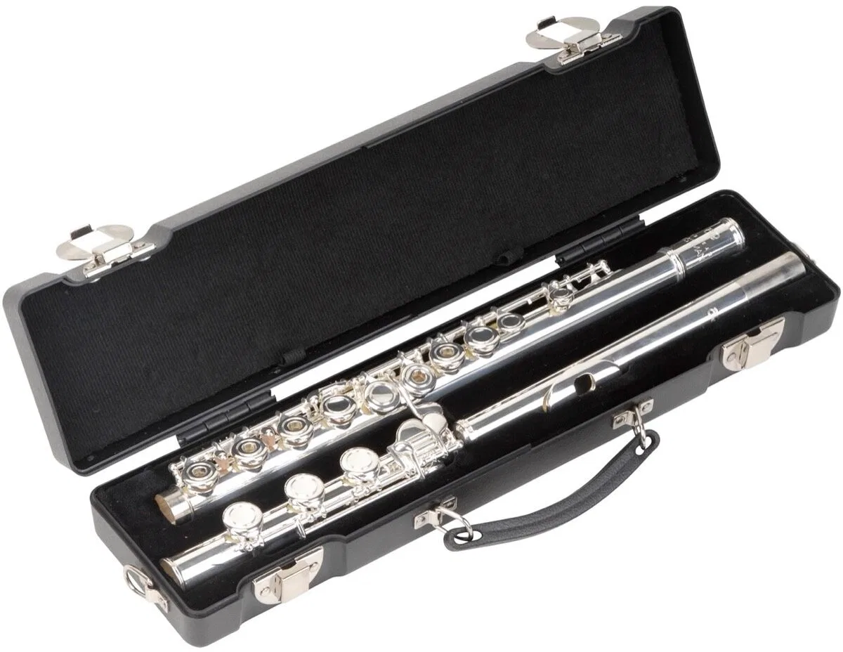 картинка Корпус для шарнира B-образной ножки SKB Flute от магазина Одежда+