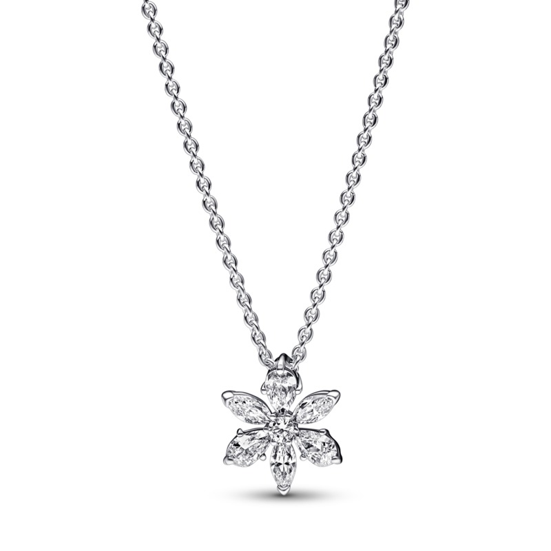 картинка Pandora Серебряное колье 925 пробы от магазина Одежда+