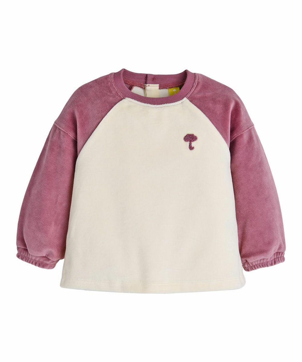 картинка Мягкие и бархатные топы и брюки Moimoln, Pink от магазина Одежда+
